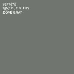 #6F7670 - Dove Gray Color Image